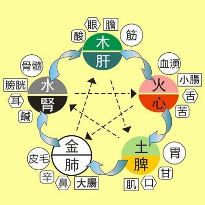 五行內臟|《黃帝內經》總結 五臟五行詳解